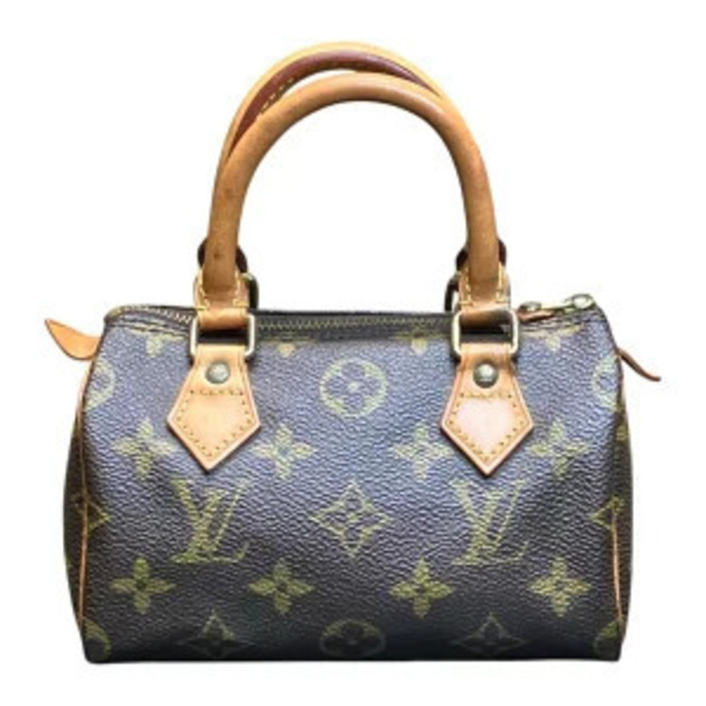 Louis Vuitton Monogram Speedy Shoulder Bag